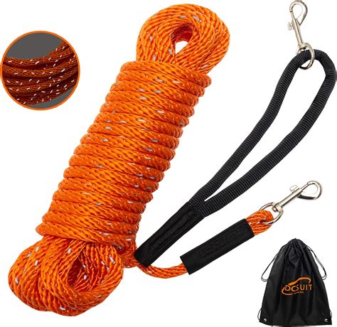 amazon leash|leash for small dogs amazon.